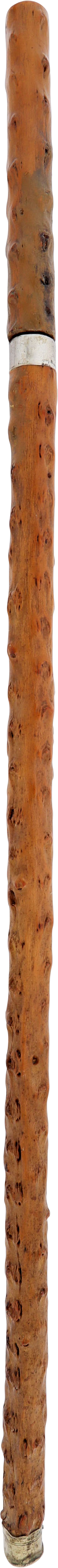 EUROPEAN OR AMERICAN SWORD STICK EARLY 19TH CENTURY - Fagan Arms