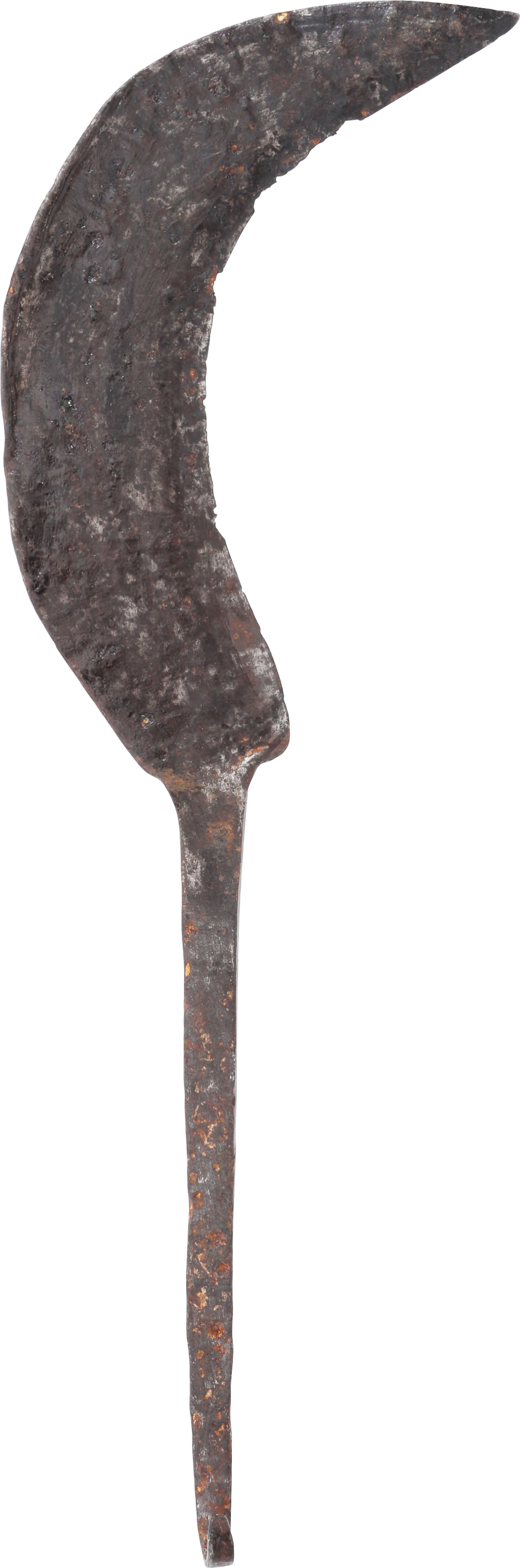 RARE EUROPEAN GARDEN SICKLE 1200-1300 AD - Fagan Arms
