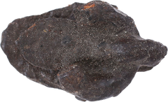 VERY RARE VIKING MAIL FASTENER/BUCKLE 9TH-11TH CENTURY AD - Fagan Arms