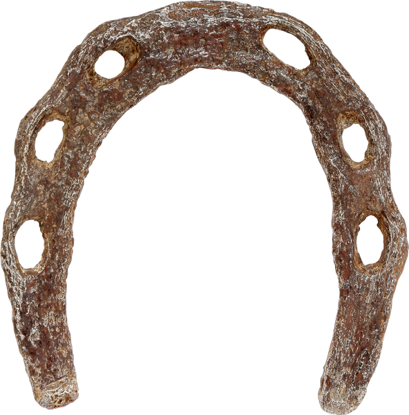 VIKING HORSESHOE, 8th11th CENTURY Fagan Arms