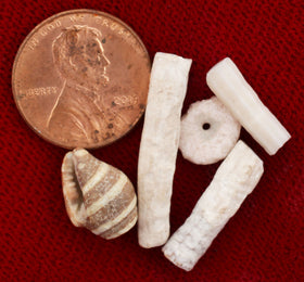 EGYPTIAN PREHISTORIC BEADS