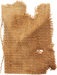 EGYPTIAN MUMMY CLOTH - Fagan Arms