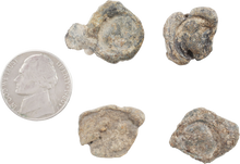 CRUSADES SUPPLY SEALS