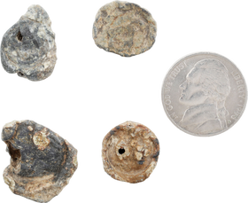 CRUSADES SUPPLY SEALS