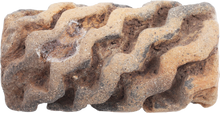 OLMEC DYE ROLLER 1500-400 BC
