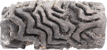 OLMEC DYE ROLLER 1500-400 BC