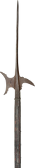 A GERMAN OR SWISS HALBERD, C.1570-1600 - Fagan Arms