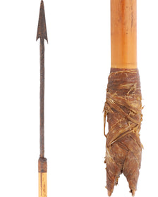 AFRICAN PYGMY ARROW