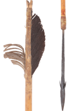 AFRICAN PYGMY POISON ARROW