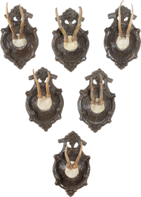 BLACK FOREST ROE DEER TROPHY MOUNTS SET OF SIX