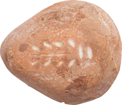 EGYPTIAN FROG FORM OIL LAMP C.30BC-200 AD - Fagan Arms