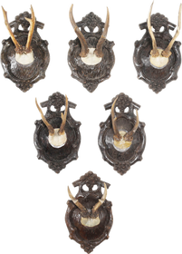 BLACK FOREST ROE DEER TROPHY MOUNTS SET OF SIX C.1880’S