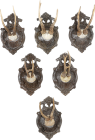 BLACK FOREST ROE DEER TROPHY MOUNTS, SET OF SIX