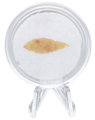 ANCIENT EGYPTIAN ARROWHEAD, 3000 BC - Fagan Arms