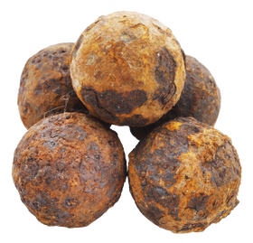 CONFEDERATE GRAPE SHOT JAMES ISLAND