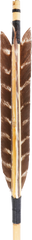 JAPANESE WAR ARROW C.1603-1868 - Fagan Arms