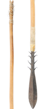 AFRICAN PYGMY ARROW