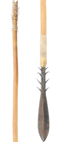 AFRICAN PYGMY ARROW