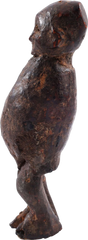 A FINE SMALL TEKE FETISH