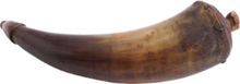 COLONIAL AMERICAN COMBINATION HORN C.1750