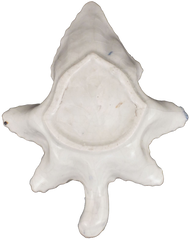 PORCELAIN PICKLE DISH C.1765 - Fagan Arms