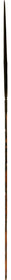 NEW GUINEA SPEAR