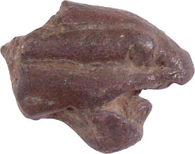 ROMAN BRONZE TURTLE HEAD