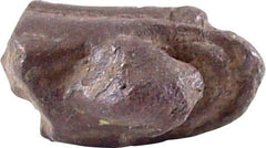 ROMAN BRONZE TURTLE HEAD - Fagan Arms