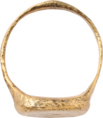 FINE VIKING WARRIOR’S RING SIZE 9 3/4 - Fagan Arms