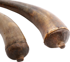 PAIR OF REVOLUTIONARY WAR POWDER HORNS - Fagan Arms