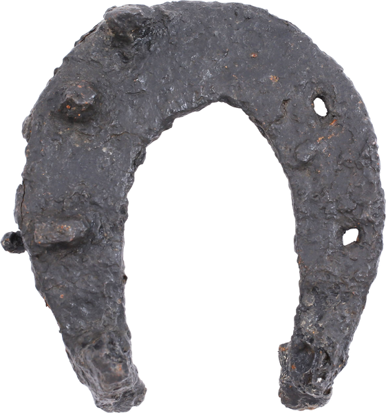 VIKING HORSESHOE, 8TH10TH CENTURY AD Fagan Arms