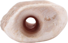 VIKING SHELL BEAD, 850-1050 AD - Fagan Arms