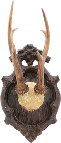 BLACK FOREST ROE DEER MOUNT C.1880’S