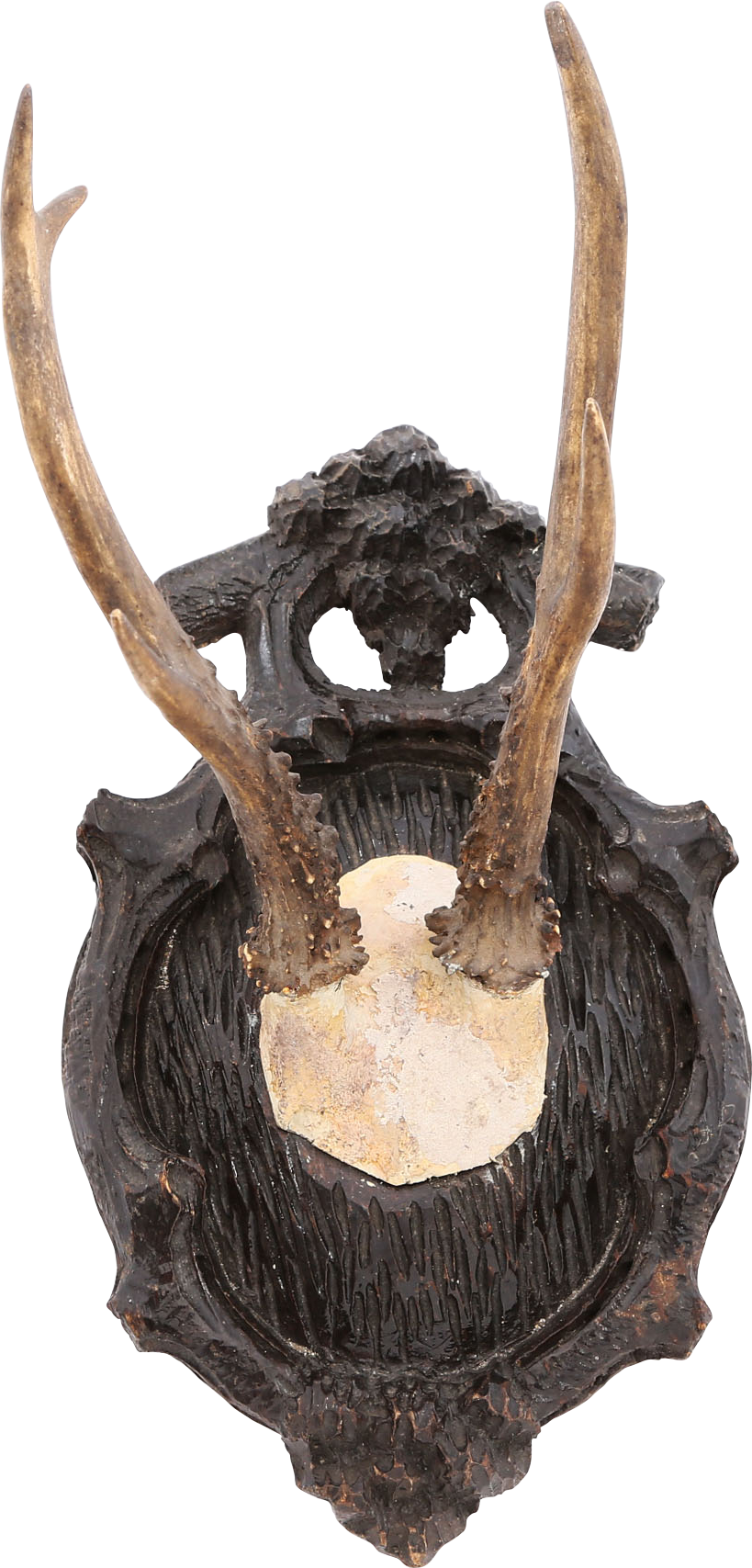 BLACK FORREST ROE DEER MOUNT C.1880’S - Fagan Arms