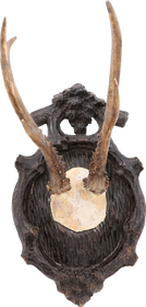 BLACK FOREST ROE DEER MOUNT C.1880’S