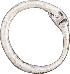 VIKING MAIL LINK/BEARD RING - Fagan Arms