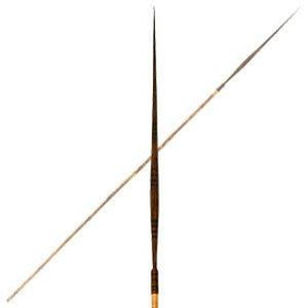 HUGE SOLOMON ISLANDS ARROW