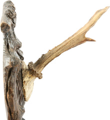 BLACK FOREST ROE DEER MOUNTS, C.1880’s - Fagan Arms