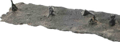 GOTHIC EUROPEAN SHORTSWORD - Fagan Arms