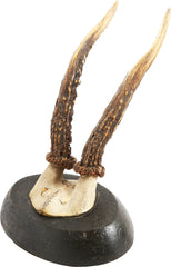 ROE DEER MOUNTS FROM A BOHEMENIAN HUNTING LODGE - Fagan Arms
