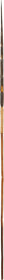 EXTRAORDINARY SOLOMON ISLANDS SPEAR