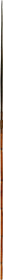 GOOD EARLY NEW GUINEA SPEAR