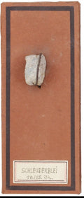 MEDIEVAL EUROPEAN SLING PROJECTILE
