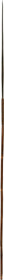 PAPUA NEW GUINEA SPEAR - WAS $65